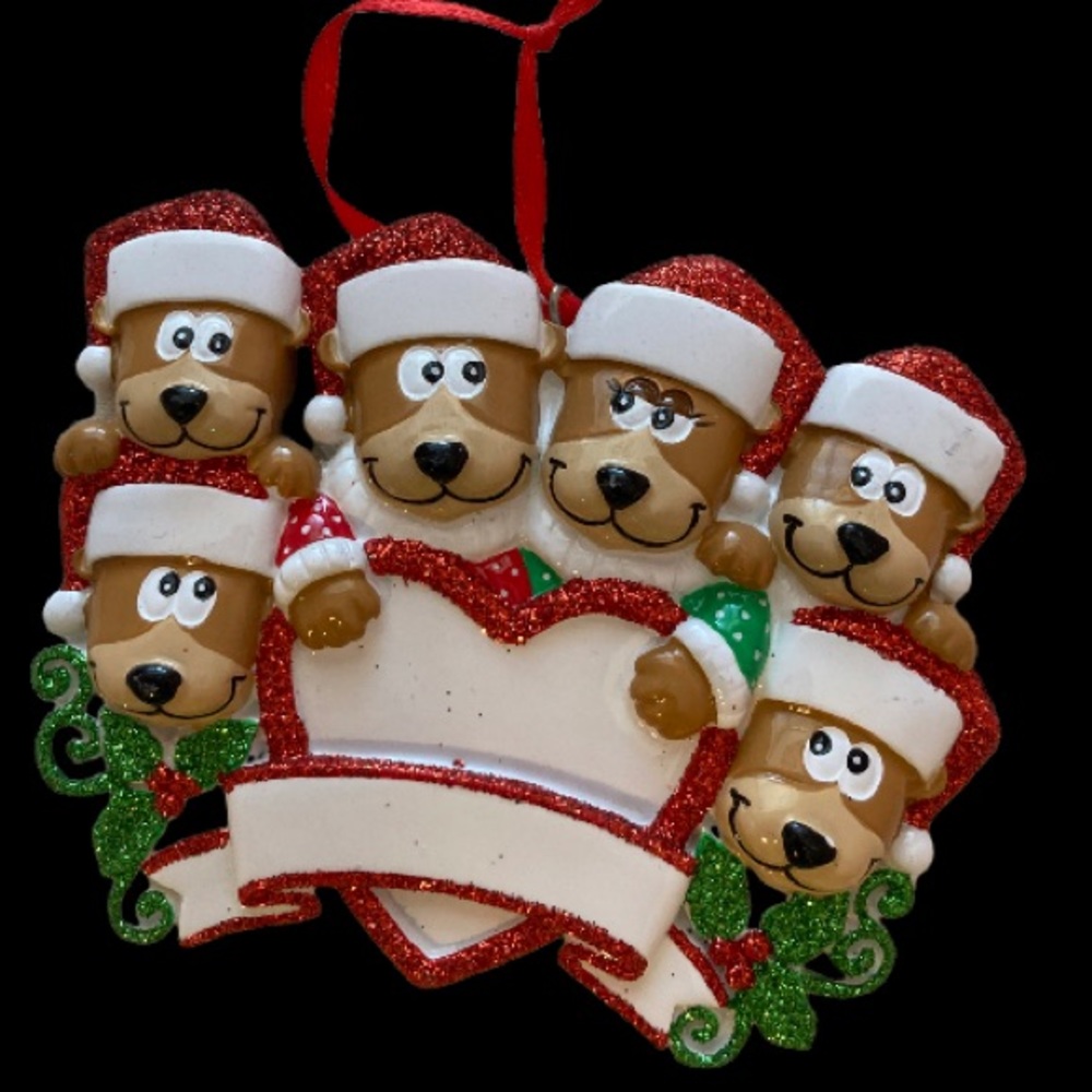 Brand New customizable ornament